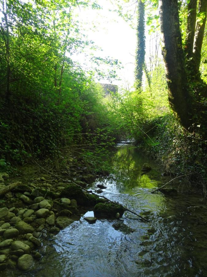 La Chambre Des Carrelets Montigny-sur-l'Ain Esterno foto